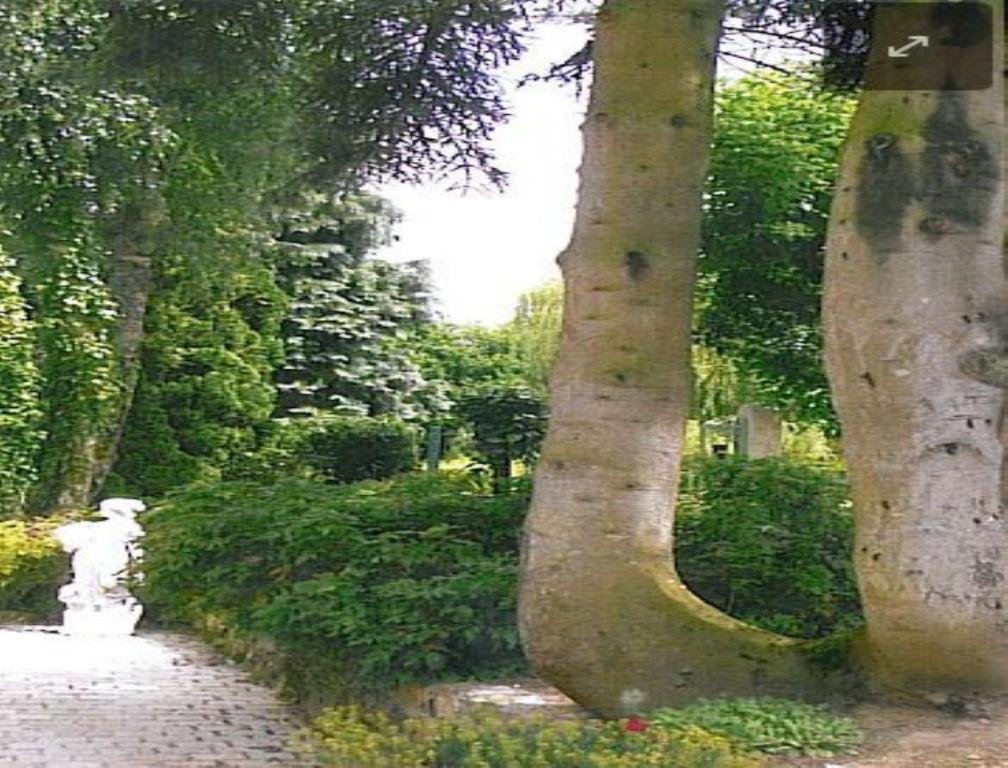 7 , le Haut Montrayé Pacé Extérieur photo